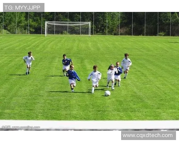 足球明星与总统的职业特点与社会影响力的深度对比分析